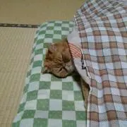 りん