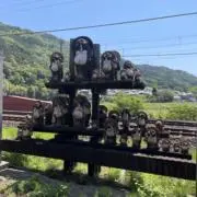 きのこ