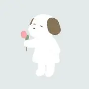 いかの画像