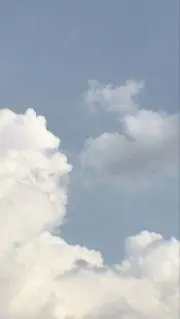 mo.の画像