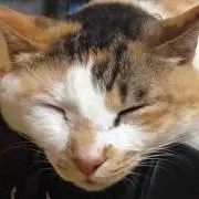 タカヒロ