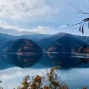 こぶた(在宅勤務中の二児の母)の画像