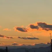 mimi331の画像