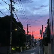 masalachaiの画像