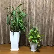 スマイル☺︎の画像