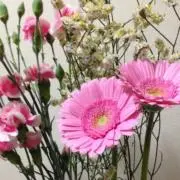 ニコニコの画像