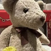 いちごの画像