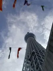 天音　莉江の画像
