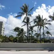 Shokaの画像
