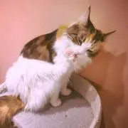 おらふ