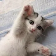 ひろ