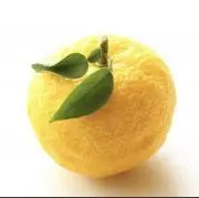 柚子(土日祝は発送できません