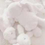♡ PPの画像