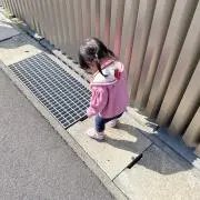 くわいの画像