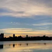 202の画像