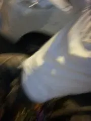 そう