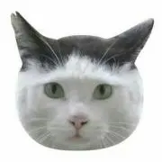 サラバンドの画像