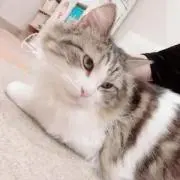 Jn@値下げ希望は値下げ依頼機能からの画像
