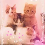 あやか
