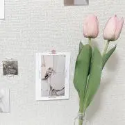 mioの画像
