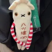 いぃらの画像