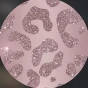 瀬奈の画像