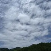 いちごまるの画像
