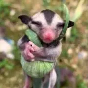 mmmmmの画像