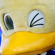 かとちゃん