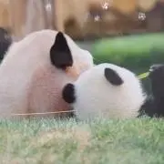 mの画像