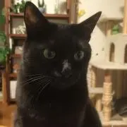 こう