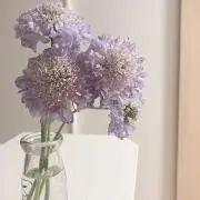 s.