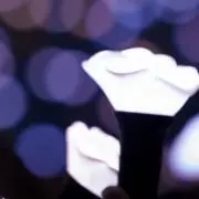 MATEの画像