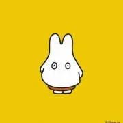ponの画像