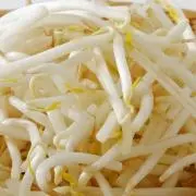 もやしの画像
