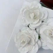 あ。の画像