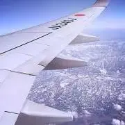 ぴー✸プロフ必読してね(*•̀ᴗ•́*)の画像