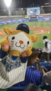 ゆーちゃむ(プロフ必読)の画像