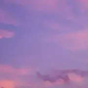 ニックの画像