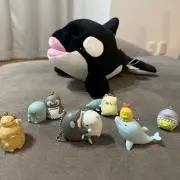 amrの画像