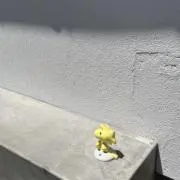 Sa___の画像
