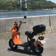 sato-c