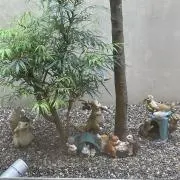 らき