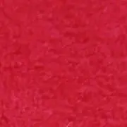 うめぼしの画像