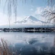 ヤマ