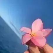 やんちゃん✿*:・゜の画像