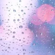 きなこ