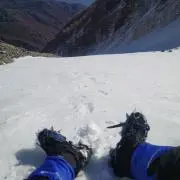 ムツ