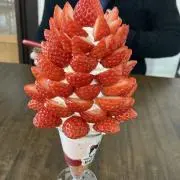 Nの画像