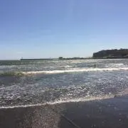 ヤマダの画像
